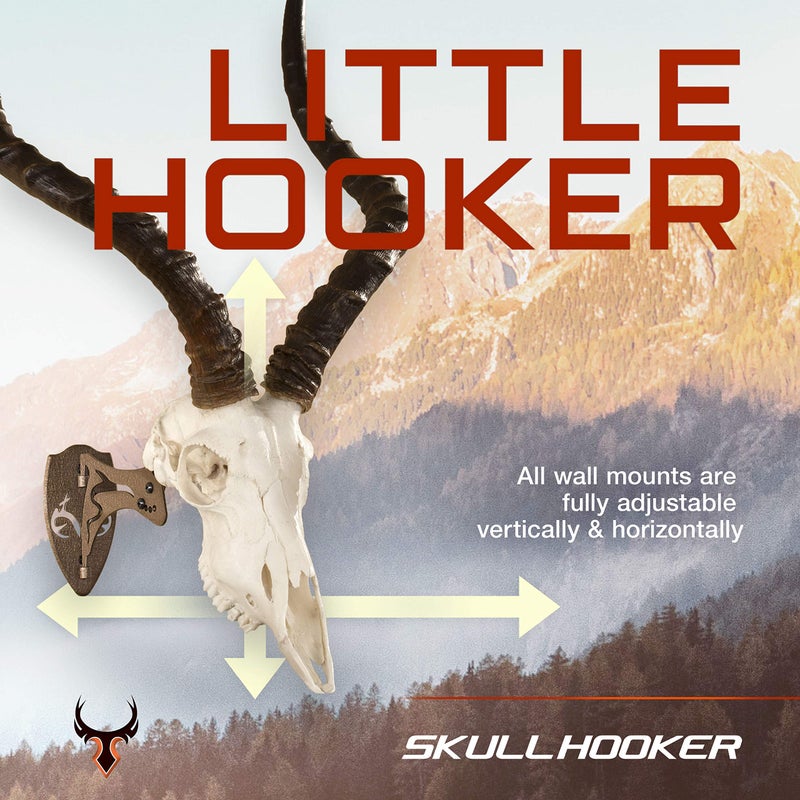 Skull Hooker Little Hooker European Trophy Mount - Perfect Kit for Hanging and Mounting Taxidermy Deer Antlers and other Skulls for Display â€“ Robust Brown - Image 3